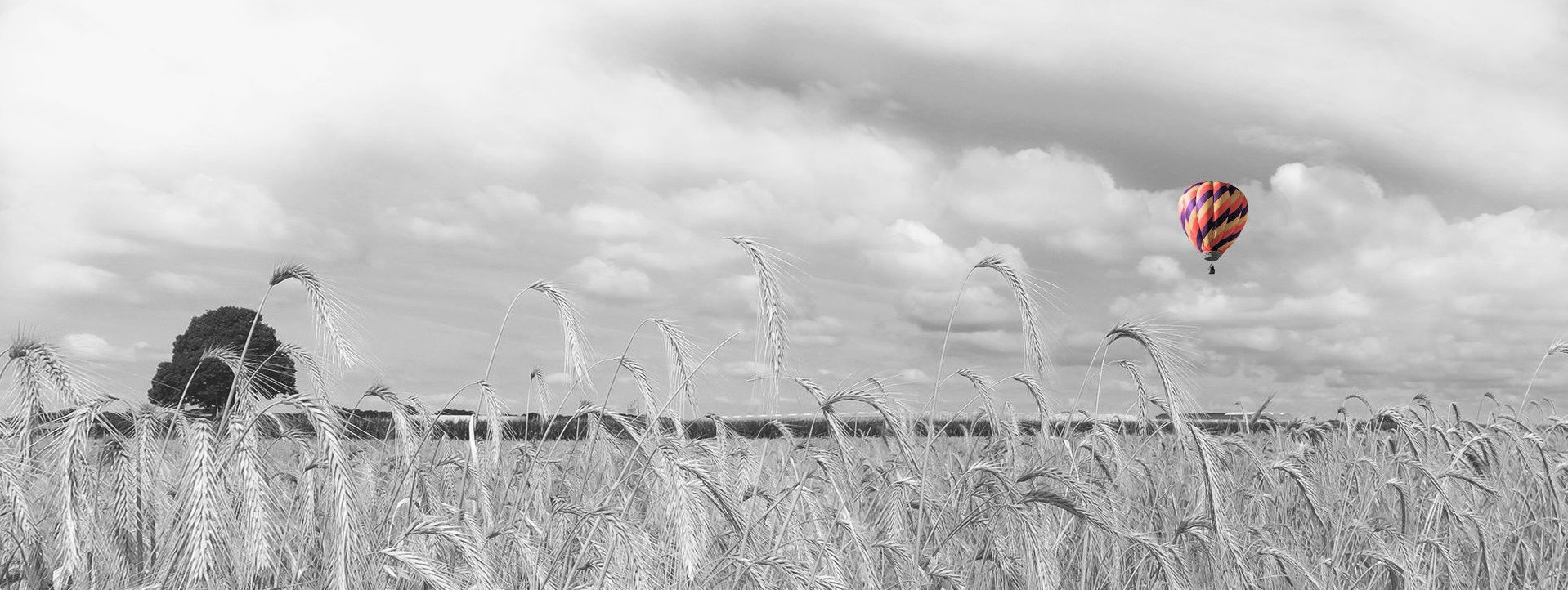 montgolfière survolant un champs de blé